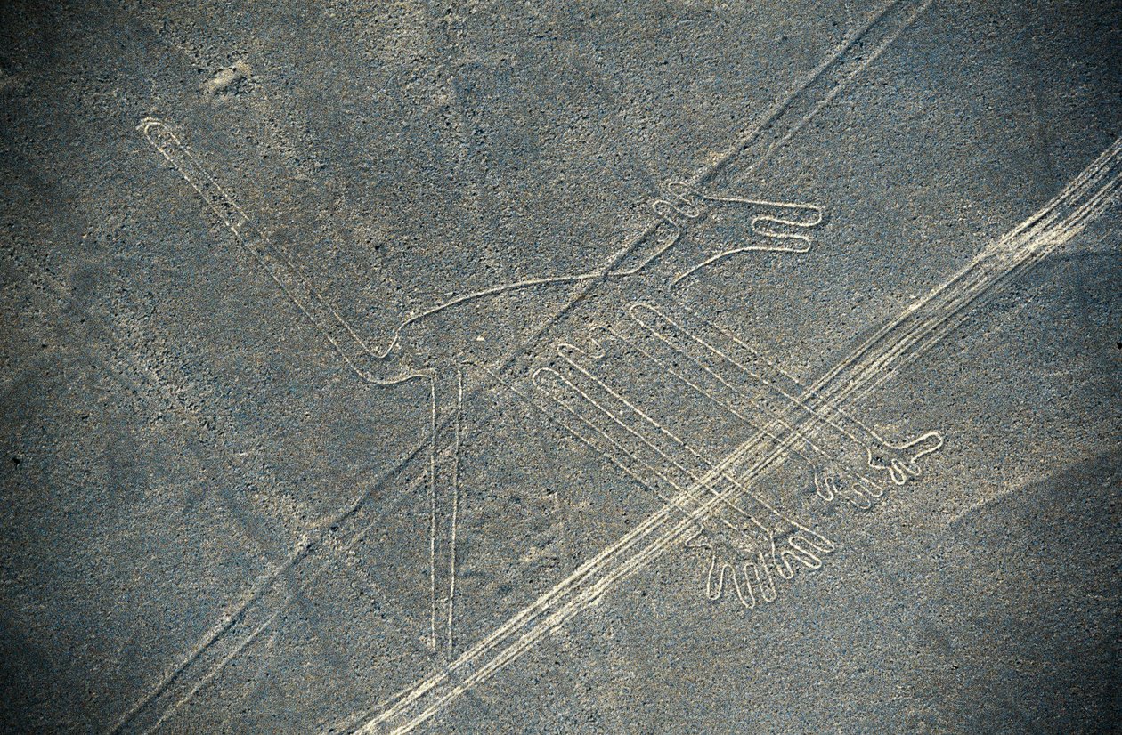 Dog, Nazca Lines, Nazca, Peru, Nazca Civilization by Unbekannt Unbekannt