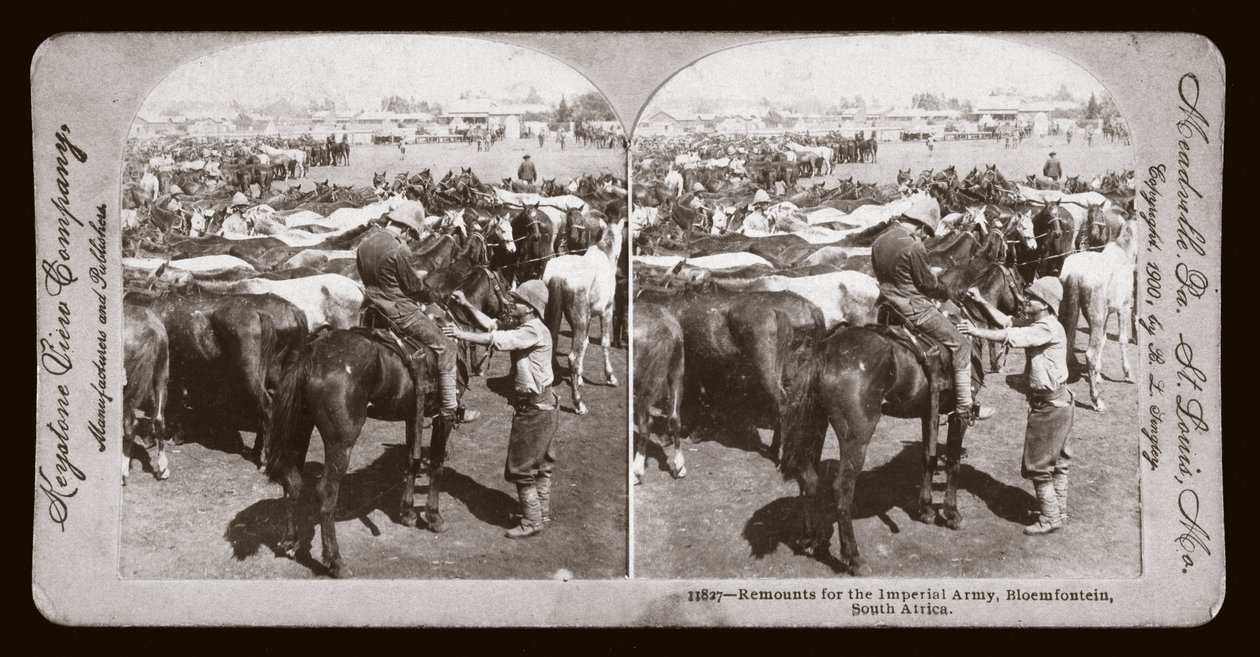 Boer War (South Africa) by Unbekannt Unbekannt