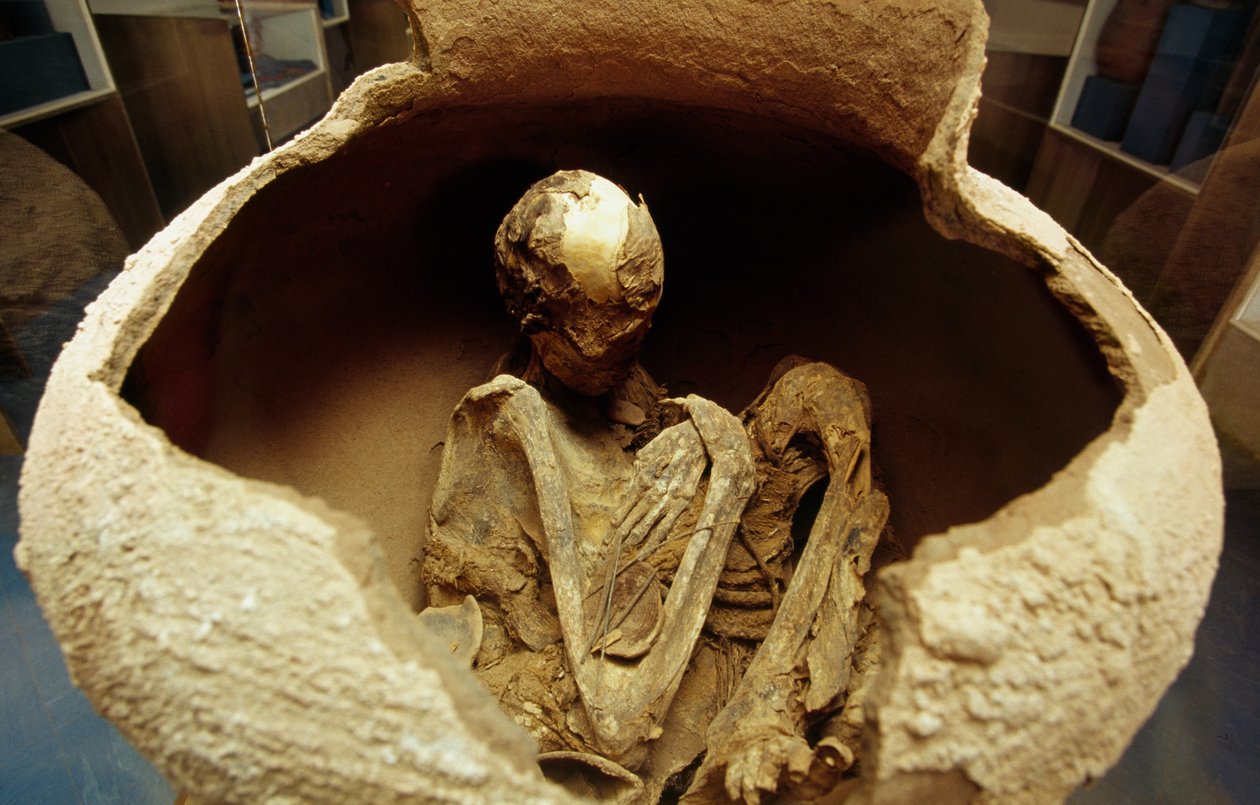 Mummy in a ceramic urn, Atacama civilization, Paleolithic by Unbekannt Unbekannt