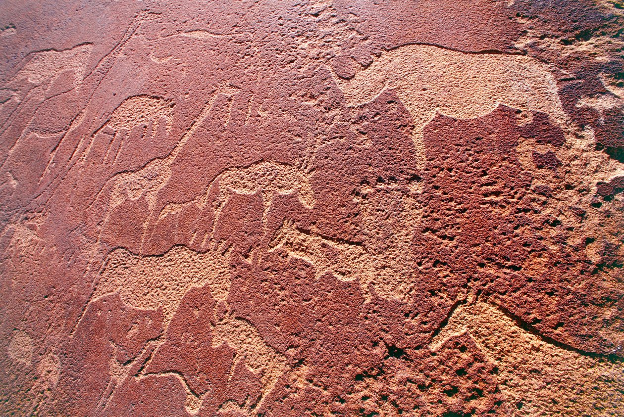 Stone Age Rock Engravings, Twyfelfontein, Brandberg Mountains, Damaraland Wilderness Area, Namibia by Unbekannt Unbekannt