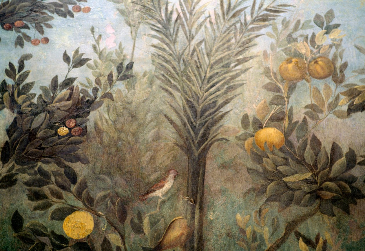 Pomegranate tree, detail from a fresco depicting a garden with fruit trees and birds, from the House of Livia on Palatine hill, Rome, Italy. Roman civilization by Unbekannt Unbekannt