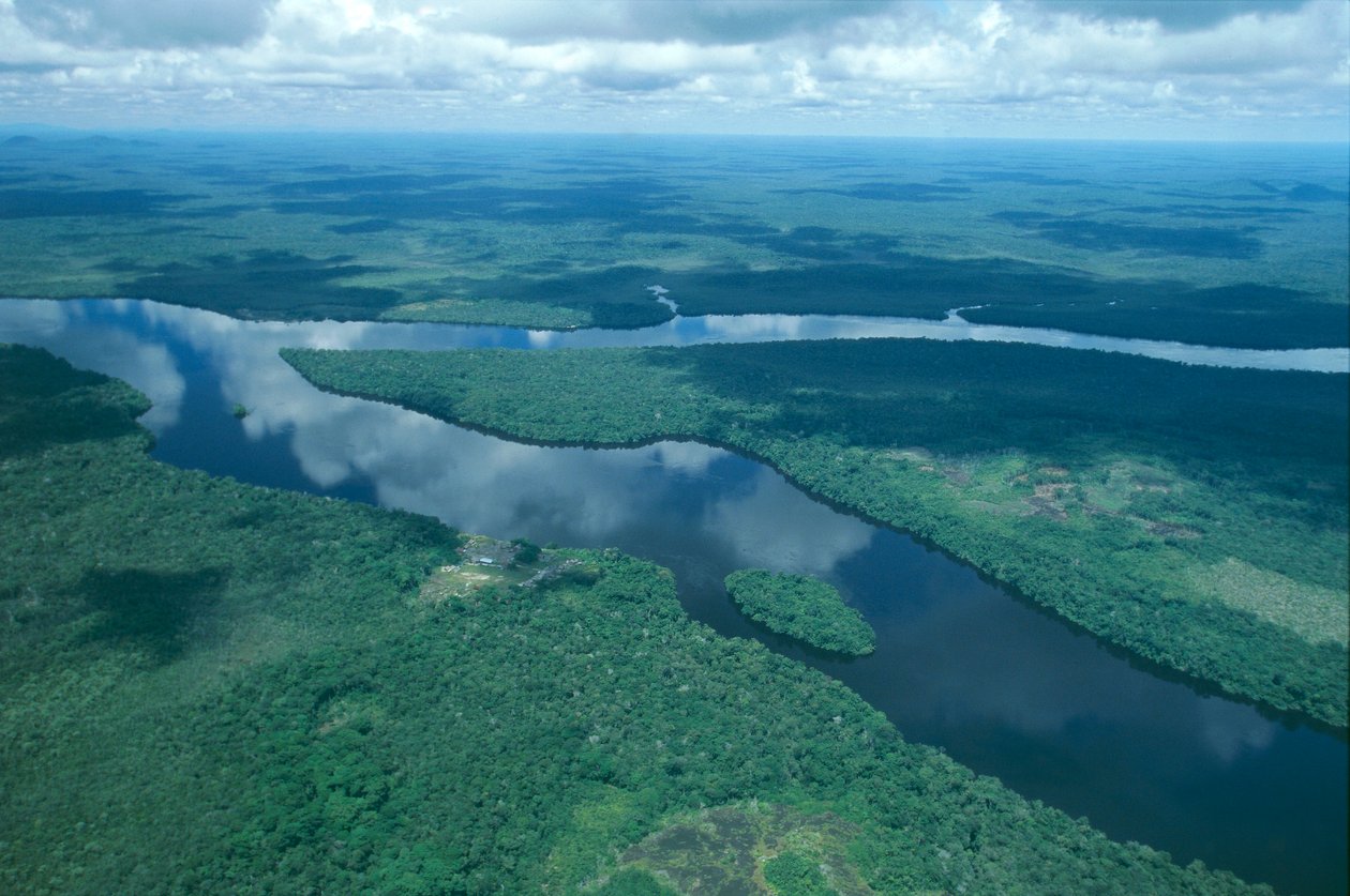 Venezuela, Guayana, Amazonas State, Orinoco River, aerial view by Unbekannt Unbekannt