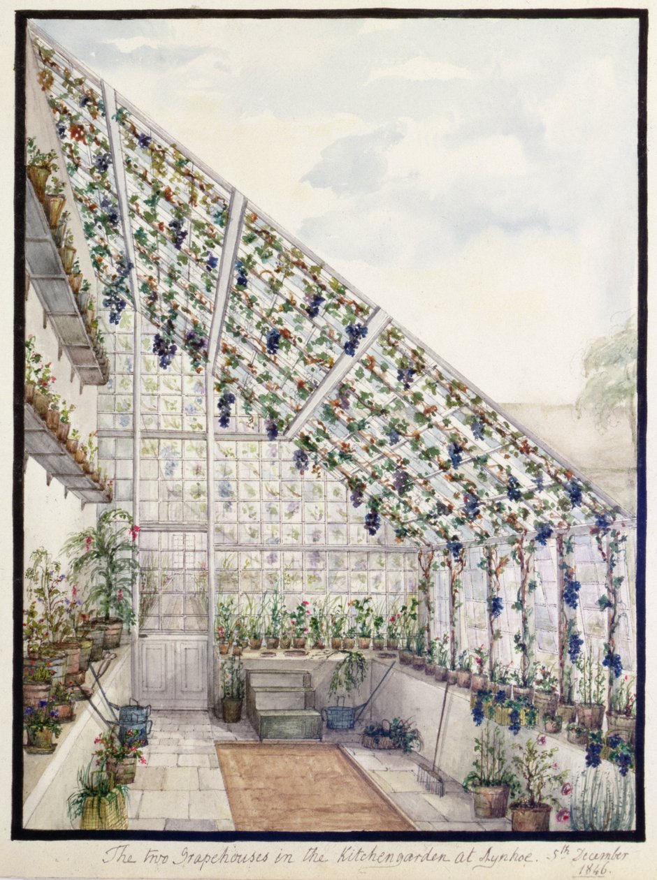 The Two Grape Houses in the Kitchen Garden, Aynhoe by Lili Cartwright