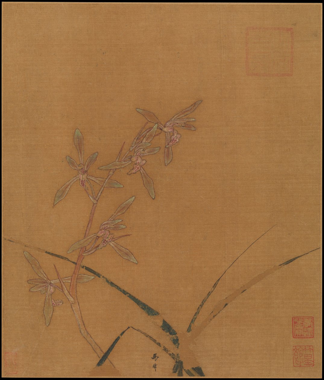 Orchids, second quarter of the 13th century by Lin Ma