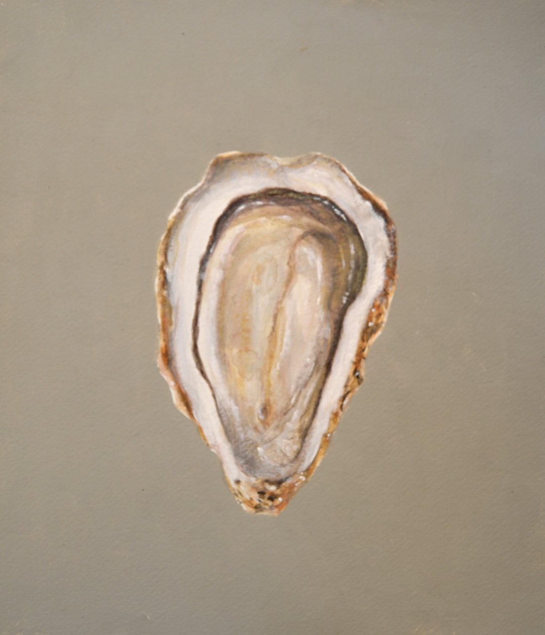 Breton Oyster 1 by Lincoln Seligman