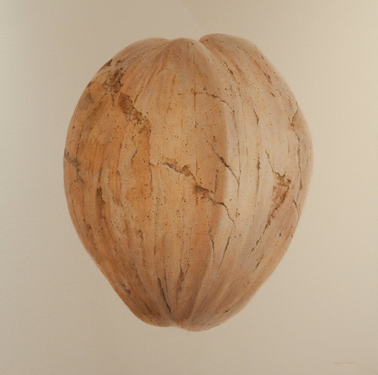 Coconut, Sri Lanka, 2010 by Lincoln Seligman