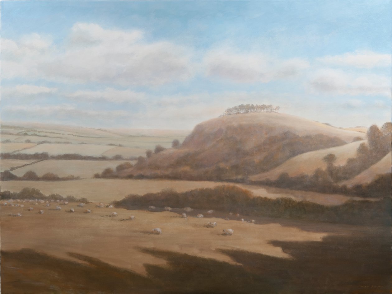 Gloucestershire Landscape, 2012 by Lincoln Seligman