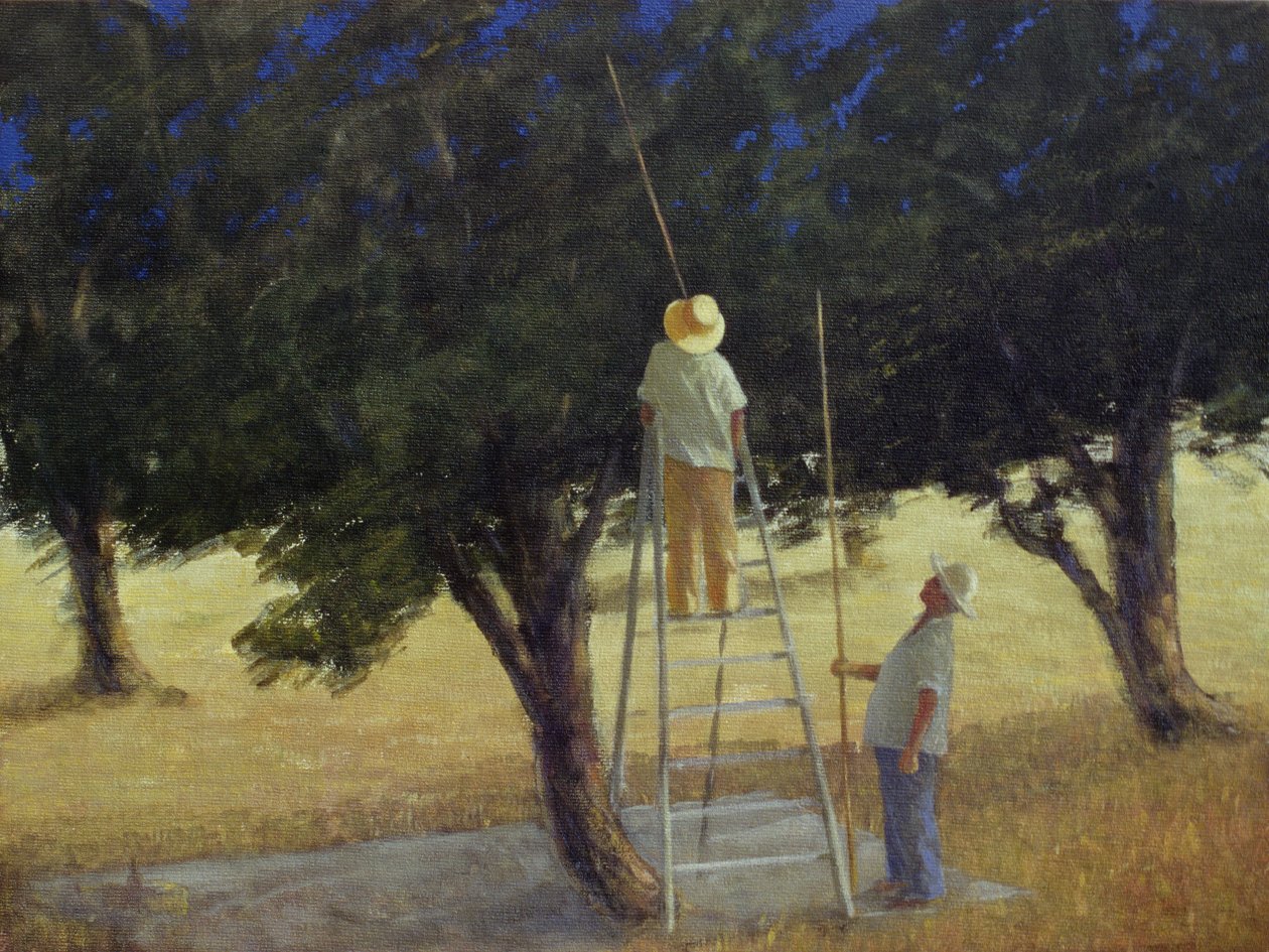 Olive Pickers, 1985 by Lincoln Seligman