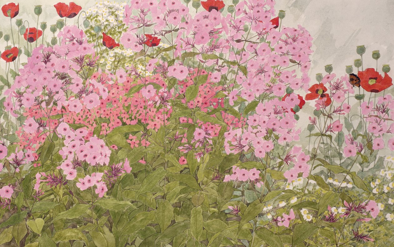 Pink Phlox and Poppies with a Butterfly by Linda Benton