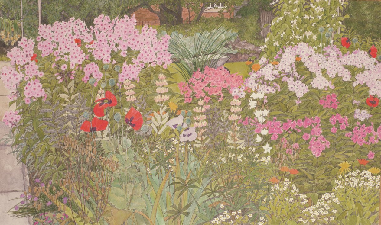 Pink Phlox in the Herbaceous Border by Linda Benton