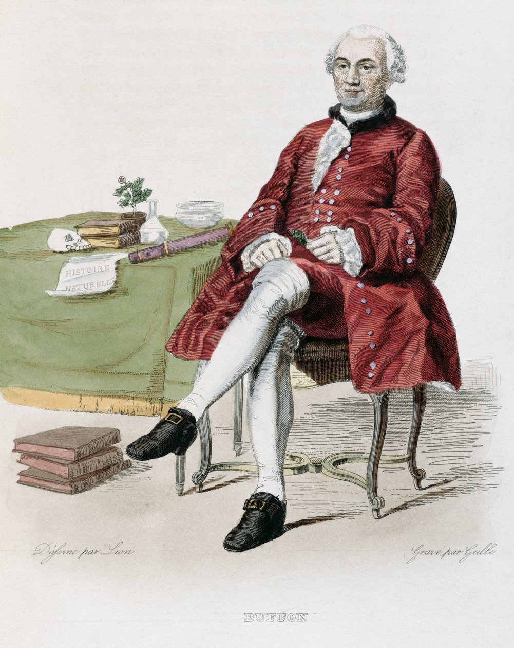 Monsieur de Buffon (1707-88) illustration from 