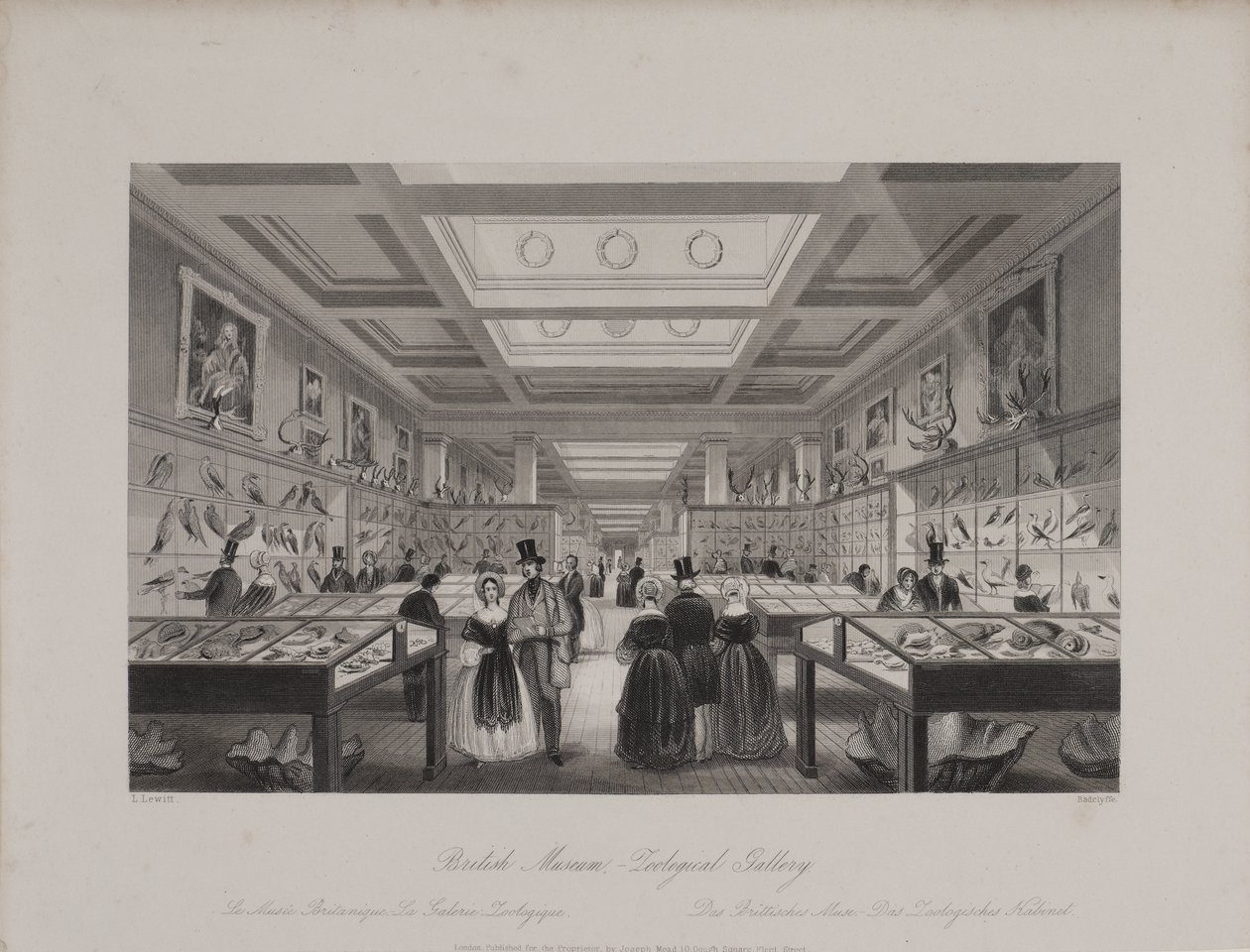 View of the Zoological Gallery, British Museum showing visitors looking at displays, c.1850 by Llewellyn (after) Jewitt