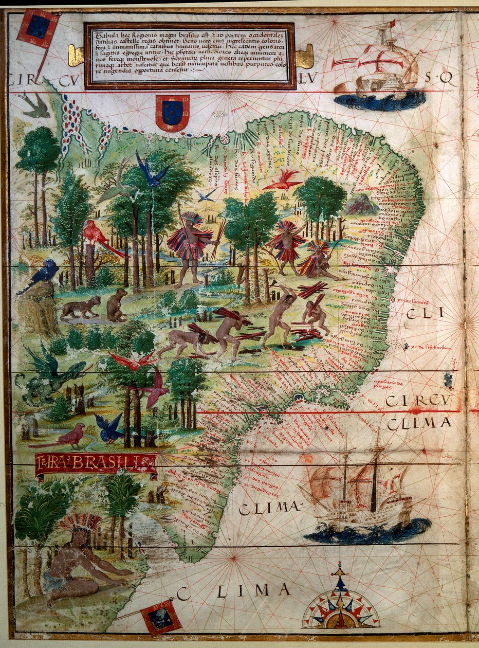 Hydrographic Map of Brazil by Lopo Homem: Fine art print