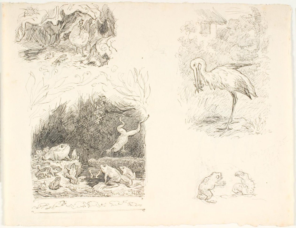 Four Drafts for Illustrations for The Toad, H.C. Andersen