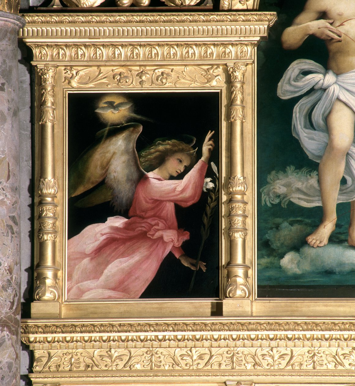 Annunciation Angel (detail) by Lorenzo Lotto