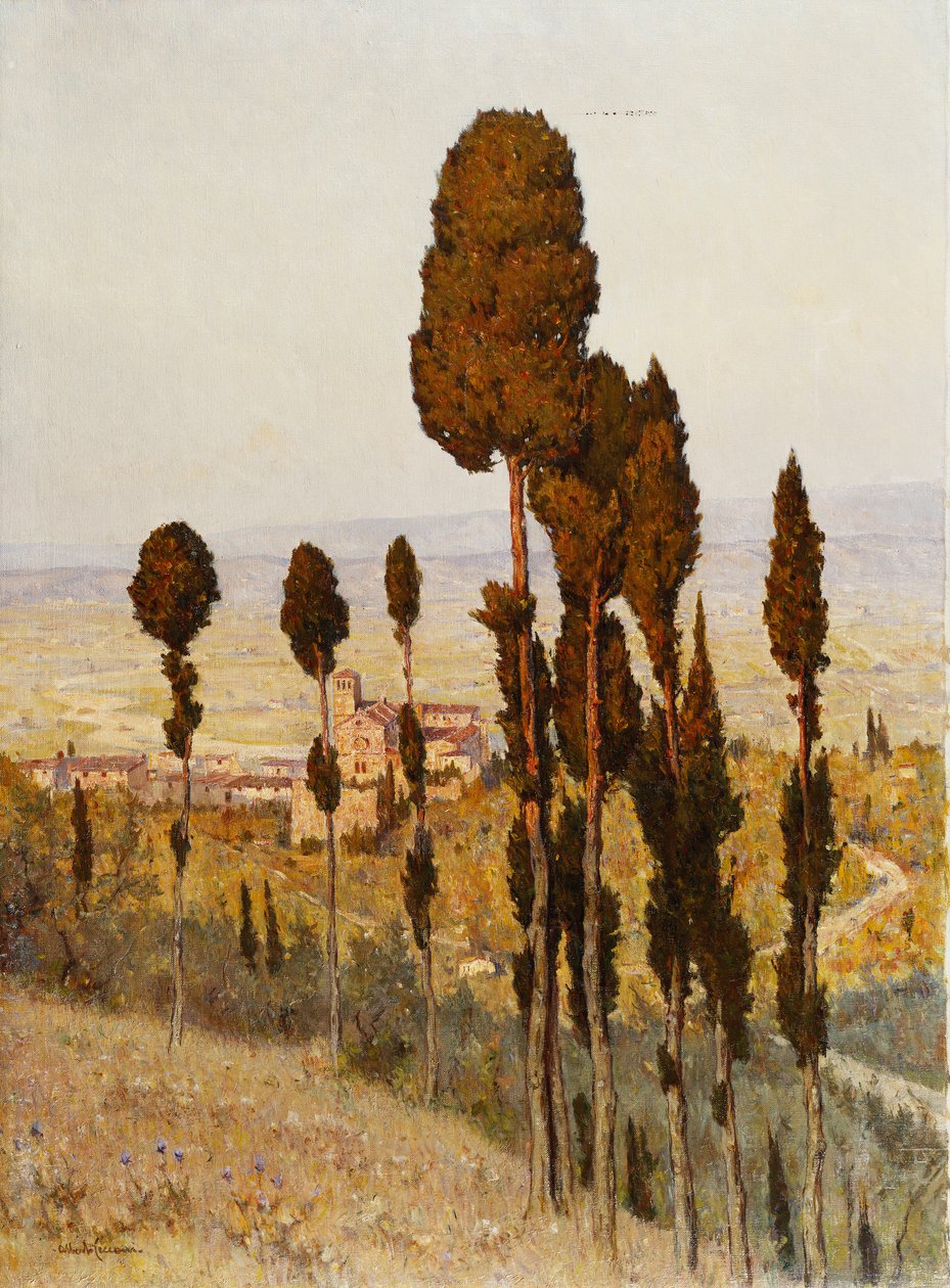 San Francesco, Assisi by Lorenzo Cecconi