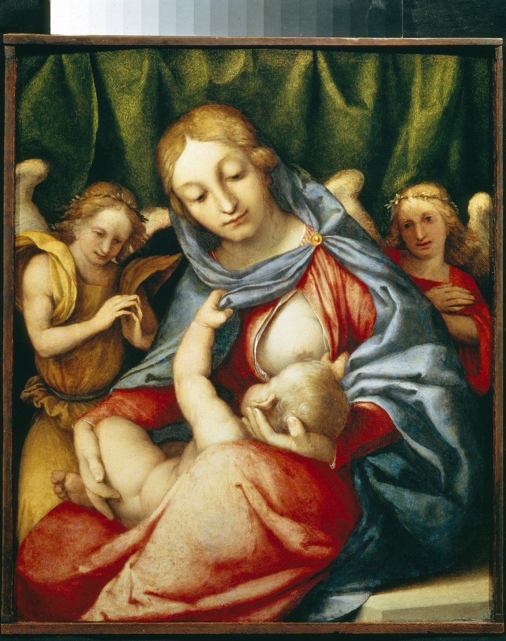 The Madonna Del Latte by Lorenzo Lotto