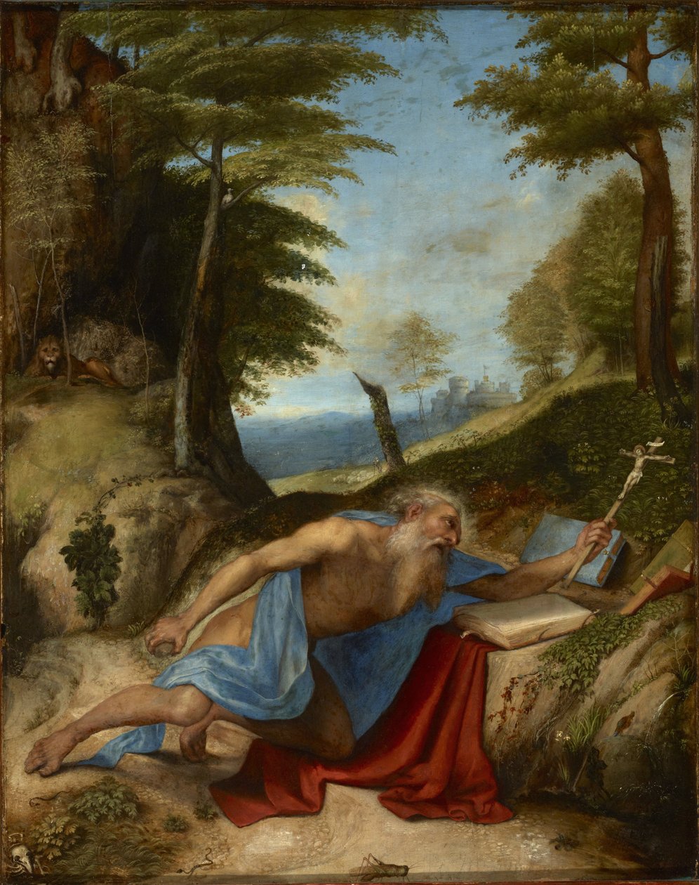 The Penitent Saint Jerome, by Lorenzo Lotto (1480-1556). Oil on wood, c. 1513. Dimension: 55.8x40 cm. Muzeul National Brukenthal, Sibiu by Lorenzo Lotto