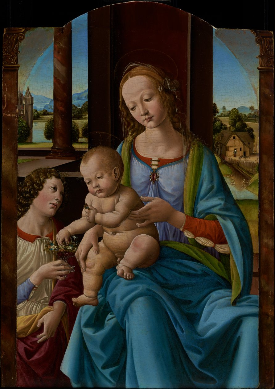 Madonna and Child by Lorenzo di Credi (Lorenzo dAndrea dOderigo)