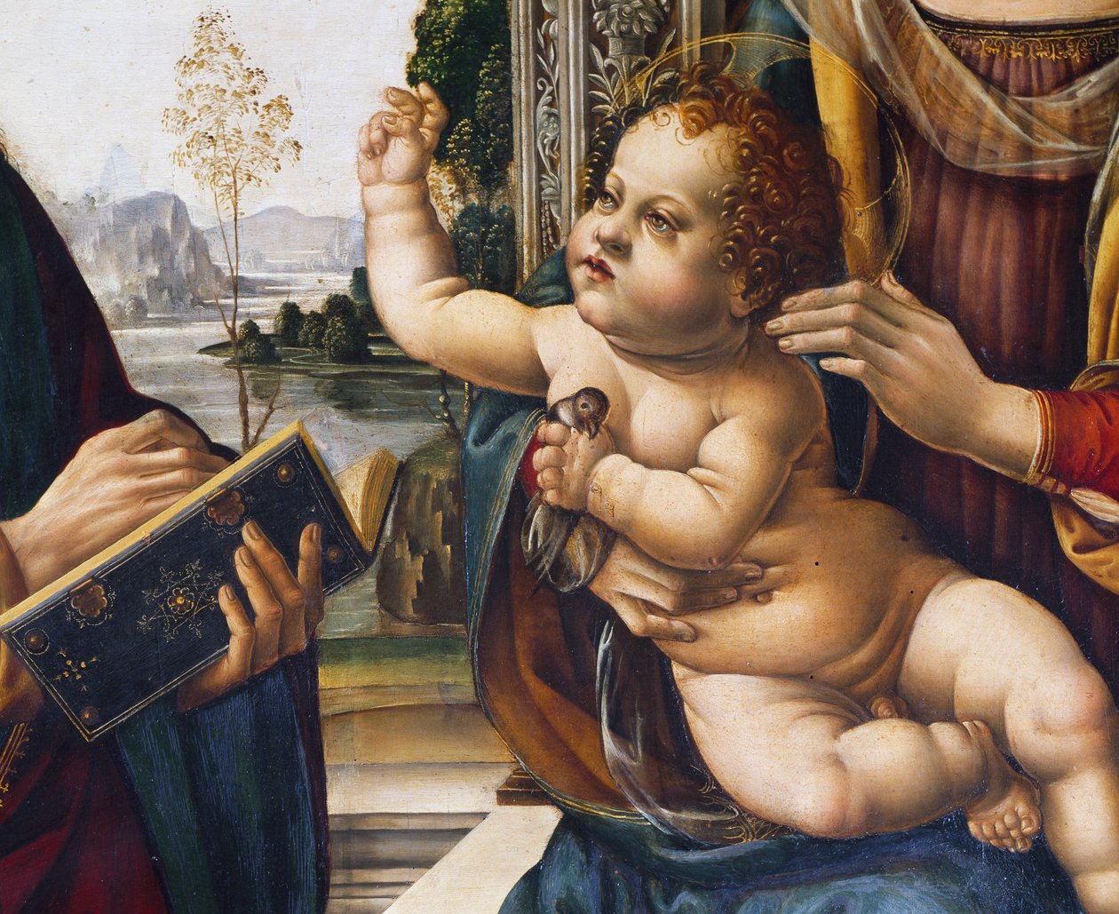 Baby Jesus (detail) by Lorenzo di Credi