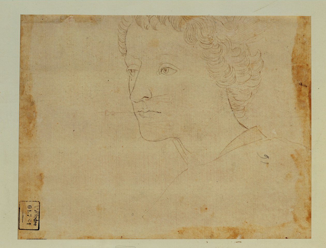 Portrait of a Boy with Curly Hair, Three-Quarters Towards the Left by Lorenzo di Credi