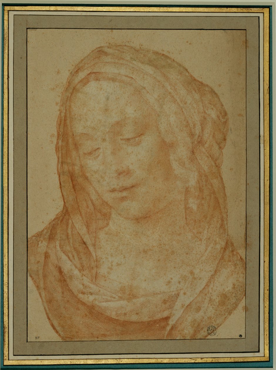Portrait of a Woman with Veil by Lorenzo di Credi