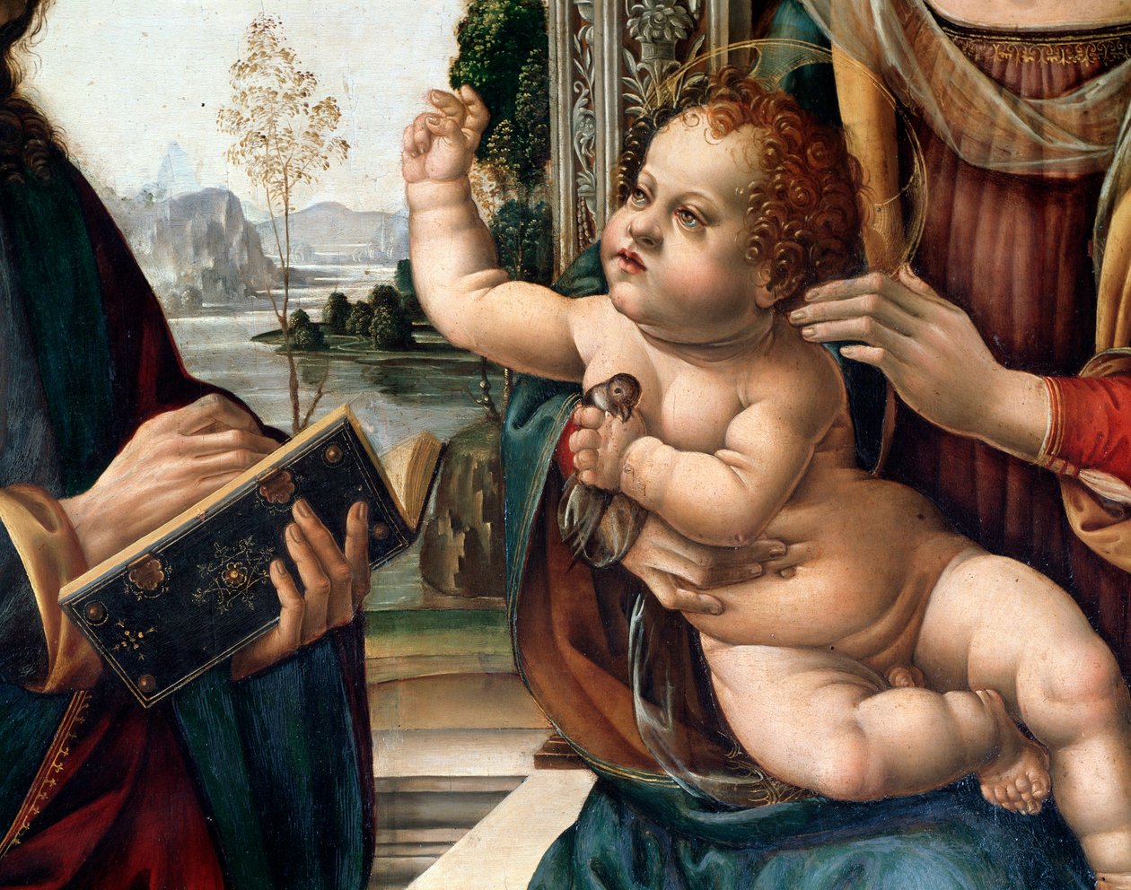 Virgin with Child and Two Saints, St Matthew and St Jerome (Detail) by Lorenzo di Credi