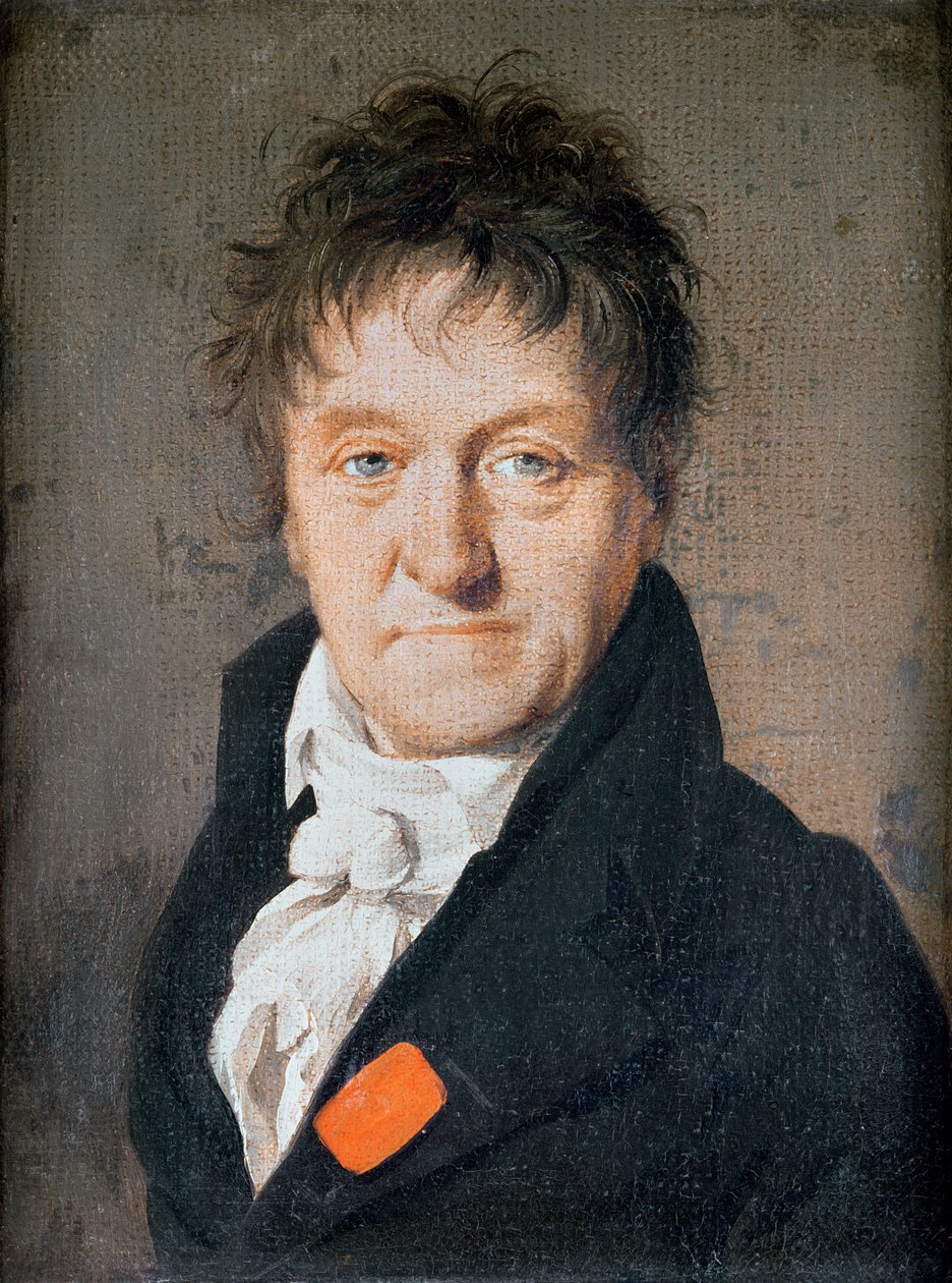 Portrait of Lazare Nicolas Marguerite Carnot by Louis Leopold Boilly