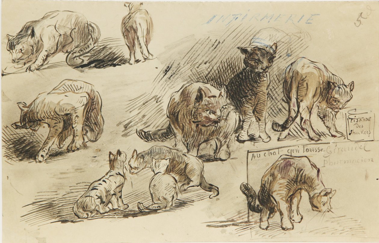 Drawing by Louis-Marie Faudacq