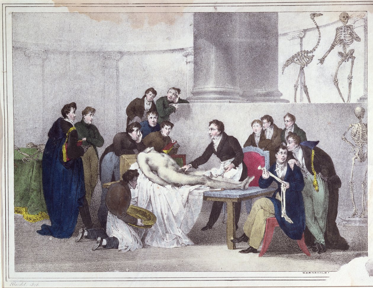 The Anatomy Lesson, 1826 by Louis Thomas Bardel