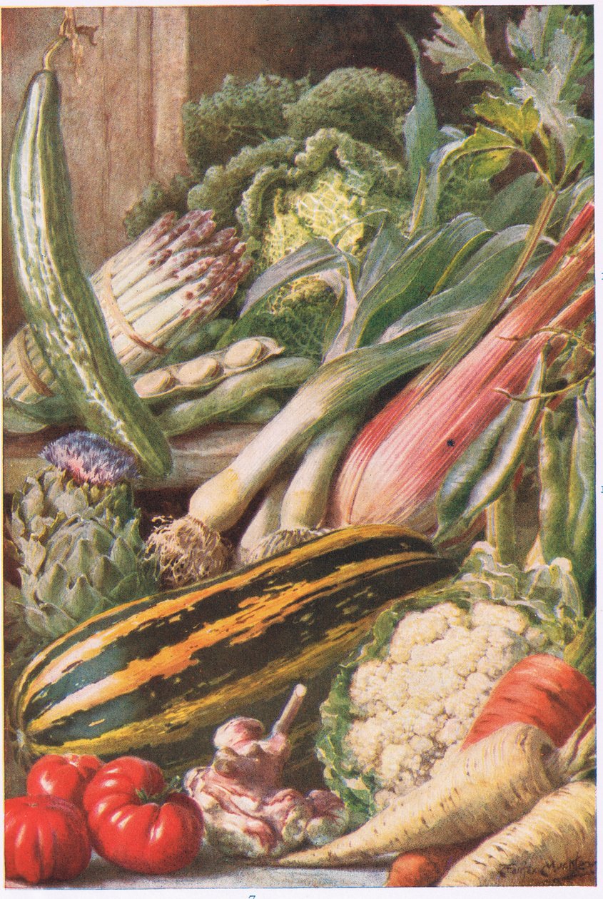 Garden Vegetables, illustration from 