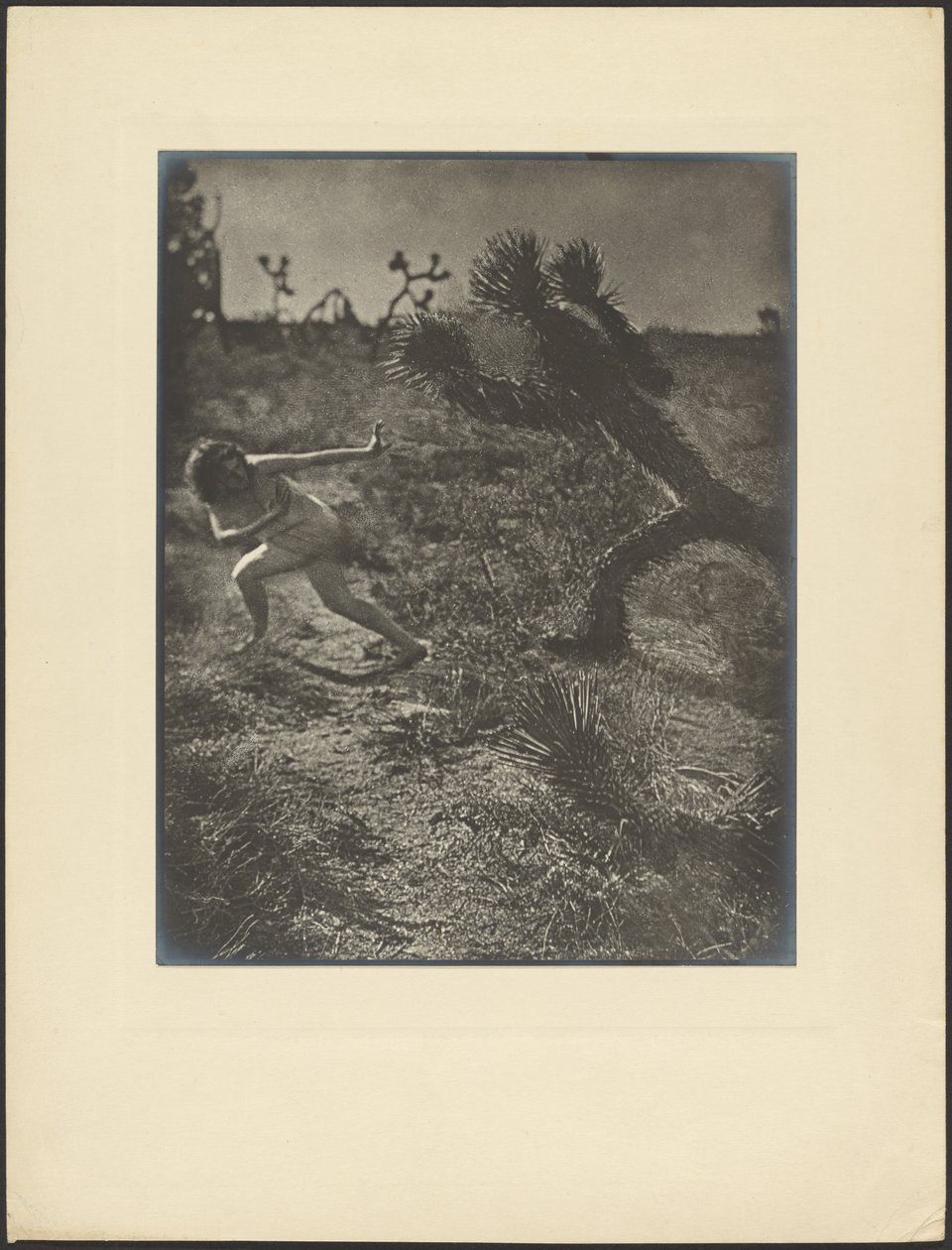 Bogey Man of the Desert by Louis Fleckenstein
