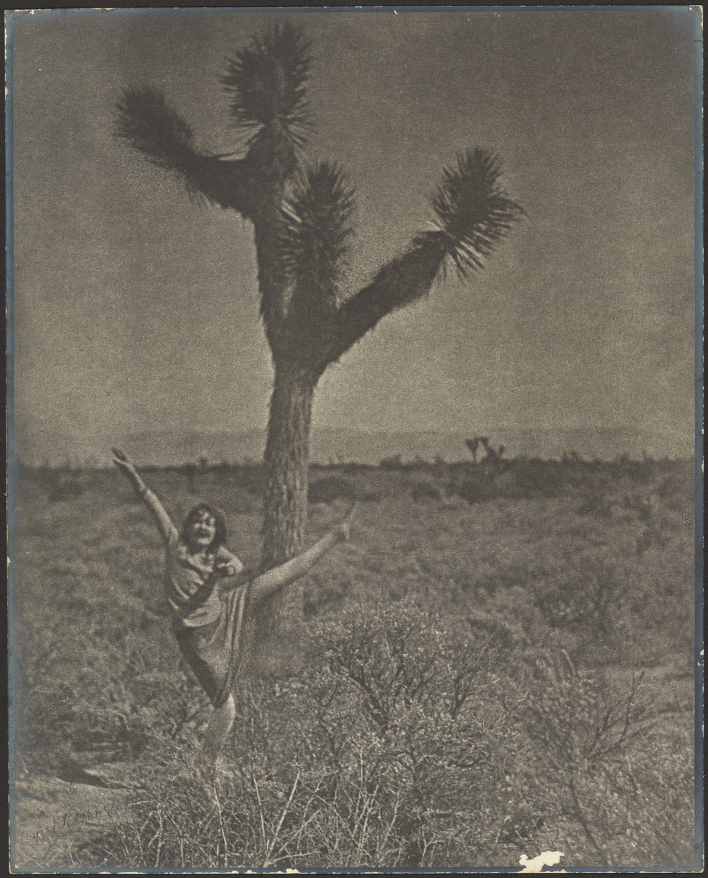 Dancer at Joshua Tree by Louis Fleckenstein