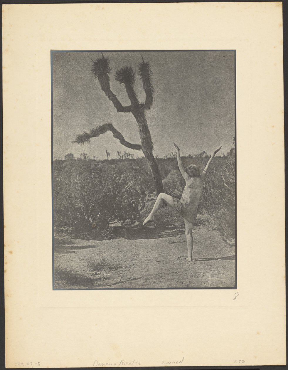 Dancing Master by Louis Fleckenstein