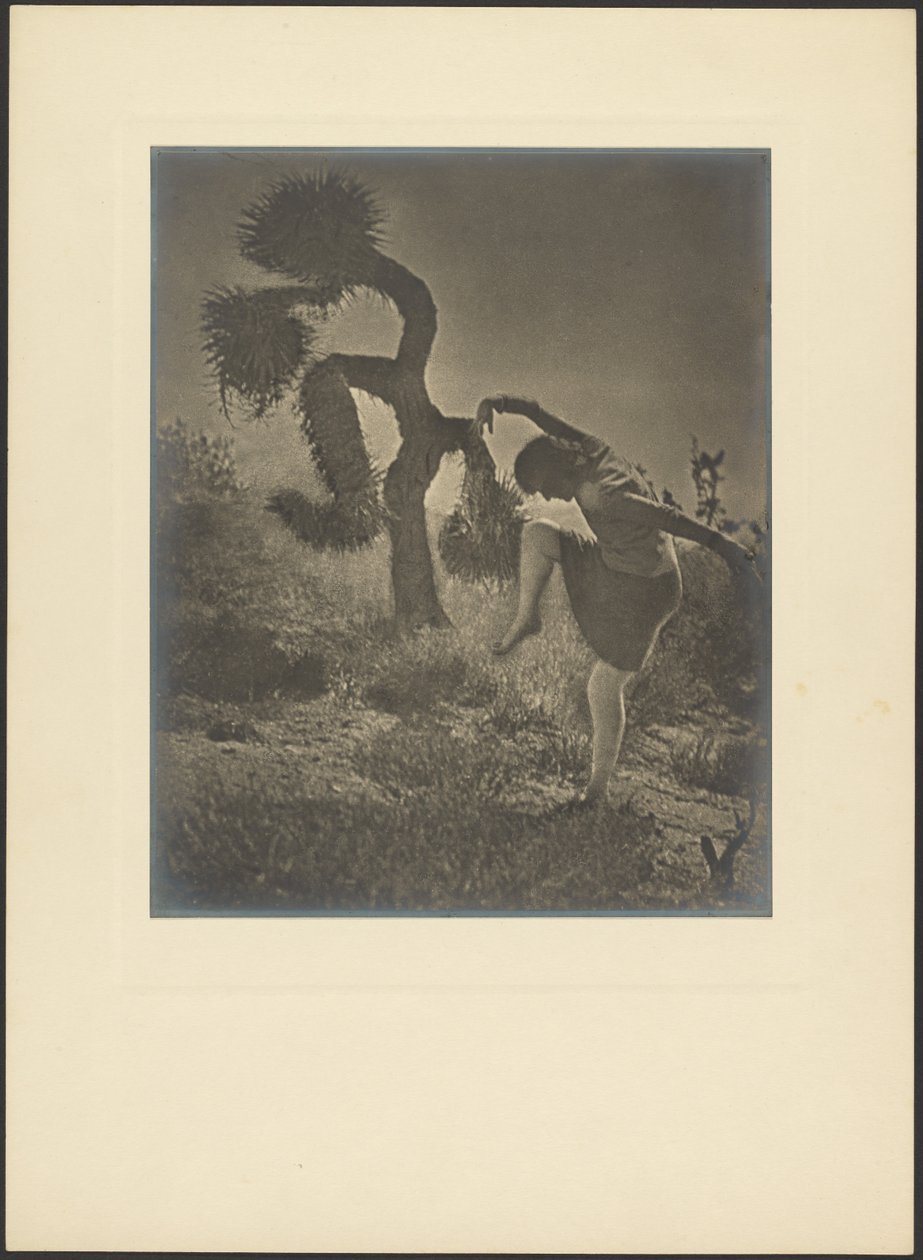 Dancing Spirit of the Joshua - First Lessons by Louis Fleckenstein