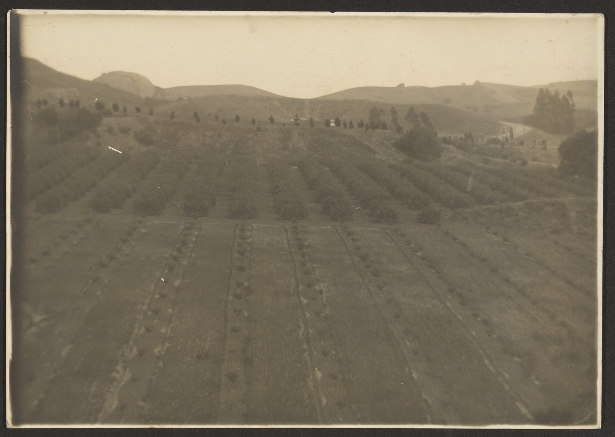 Farm Landscape by Louis Fleckenstein