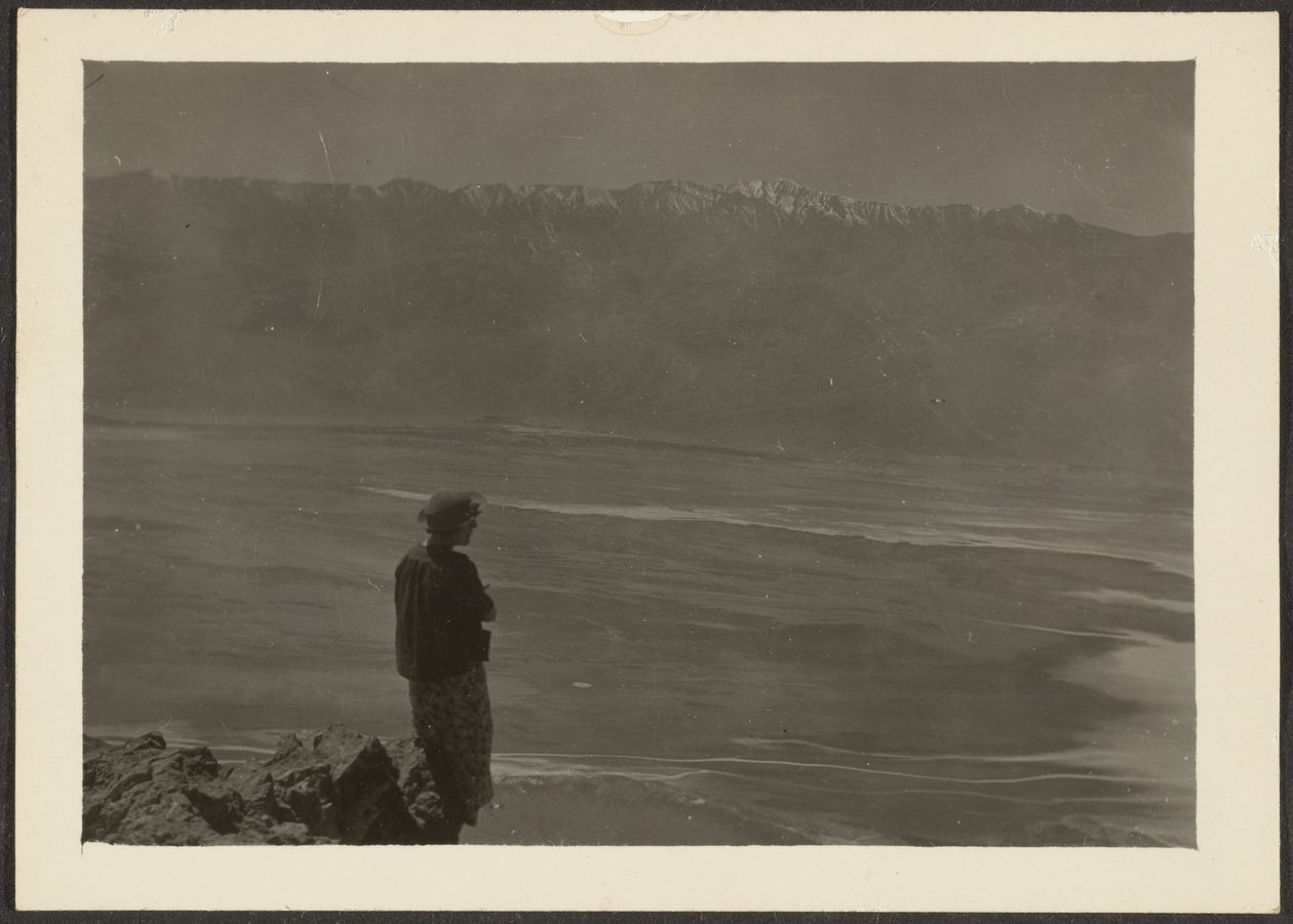 Figure Overlooking Coast by Louis Fleckenstein