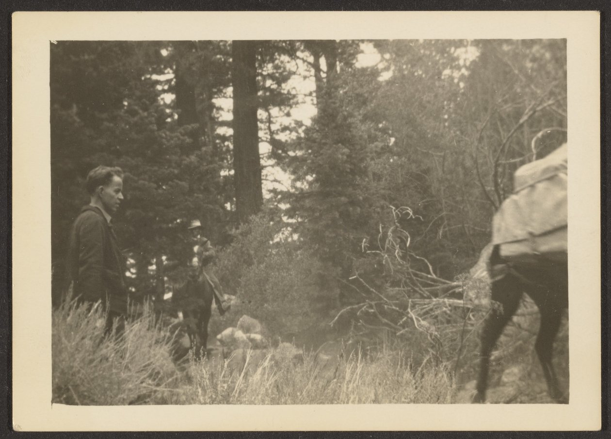 Figures in a Woodsy Landscape by Louis Fleckenstein