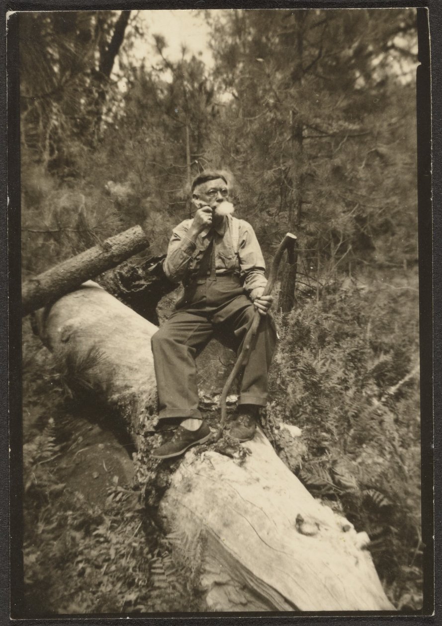 Fleckenstein on a Log by Louis Fleckenstein