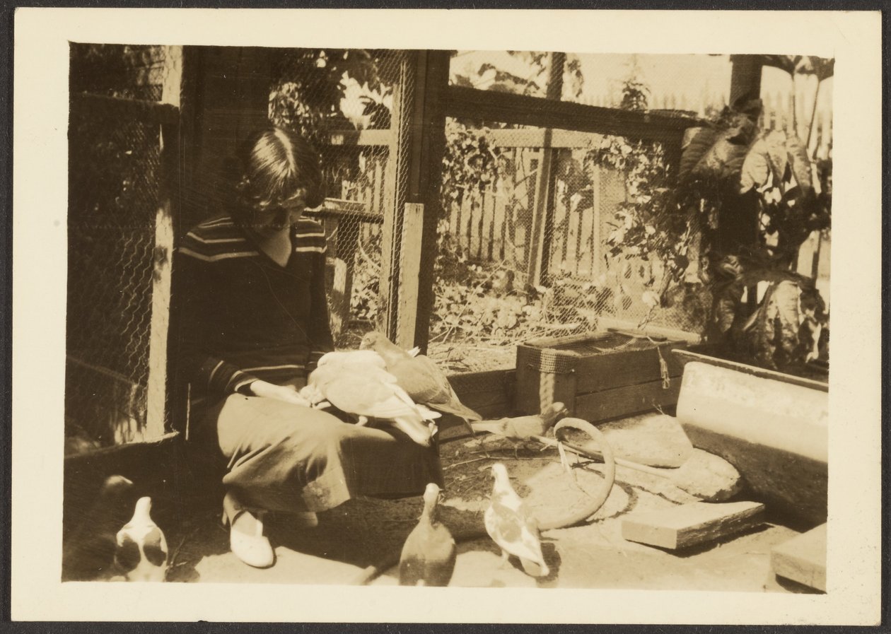 Florence and Pigeons by Louis Fleckenstein