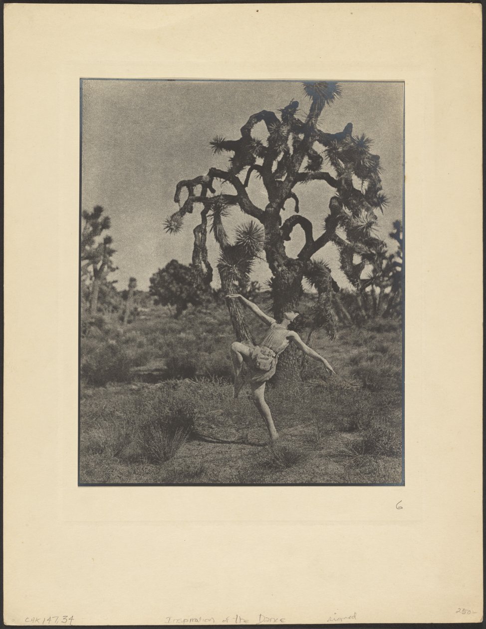 Inspiration of the Dance by Louis Fleckenstein