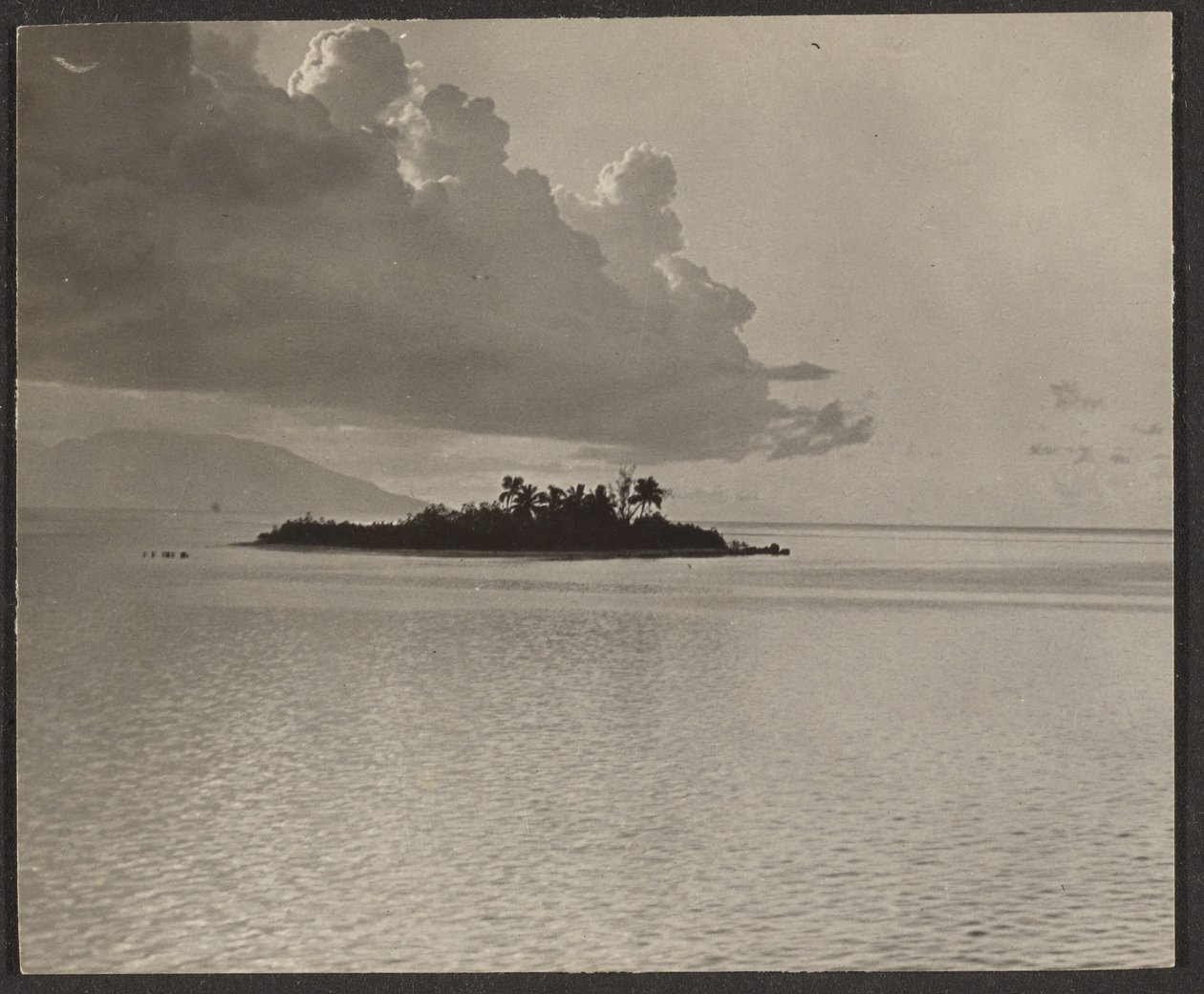 [Island Landscape] by Louis Fleckenstein