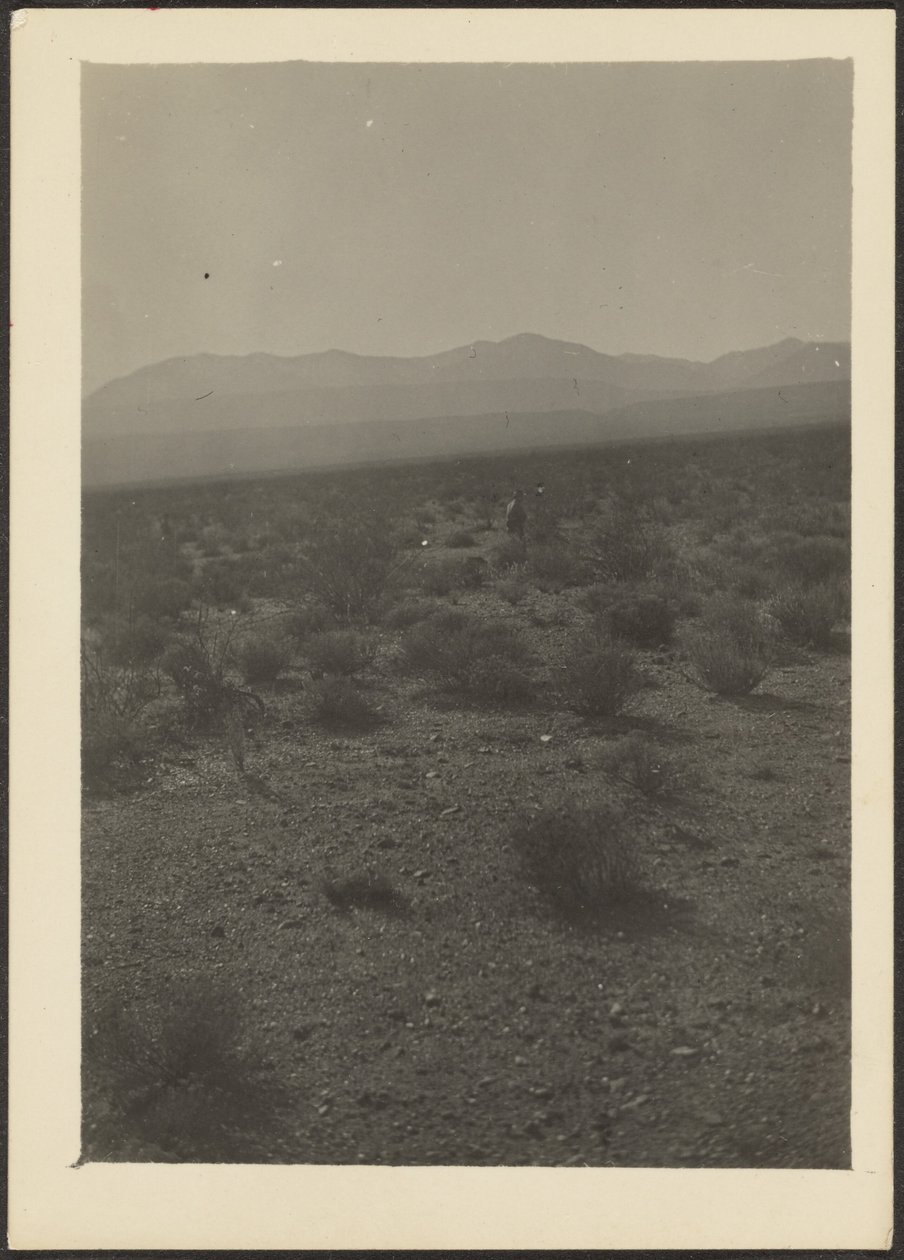 Landscape by Louis Fleckenstein