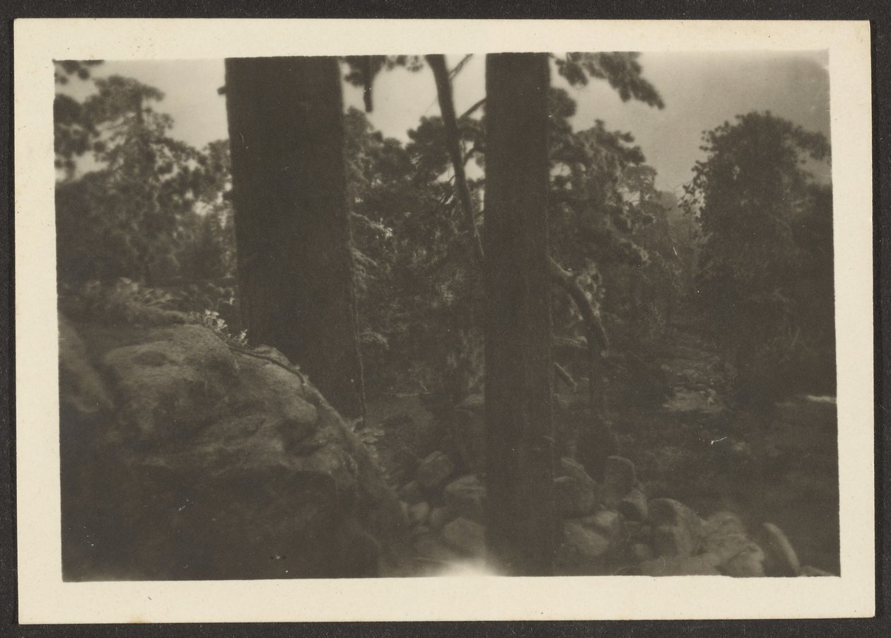 Landscape by Louis Fleckenstein