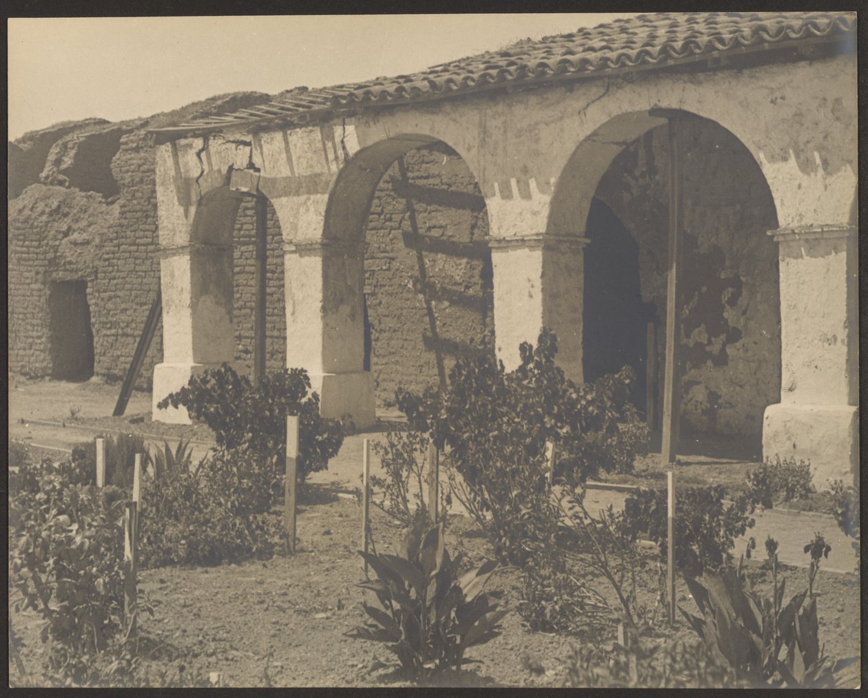 Mission Garden by Louis Fleckenstein