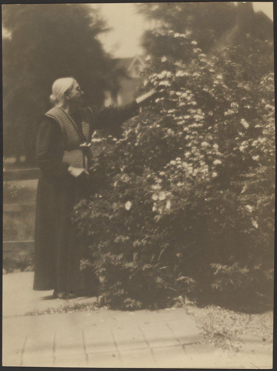 Portrait of a Woman Picking Flowers by Louis Fleckenstein