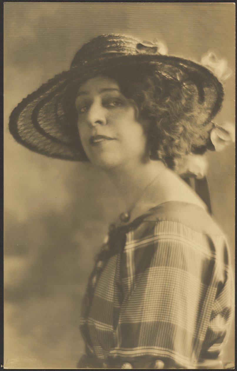 Portrait of a Woman in Plaid Dress by Louis Fleckenstein