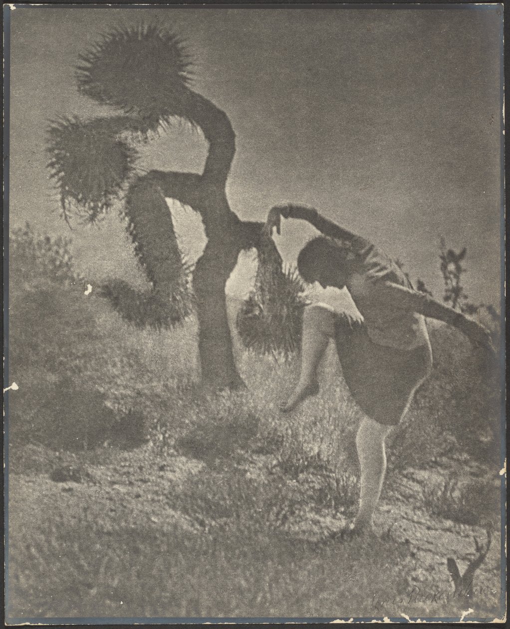 The Clownish Joshua by Louis Fleckenstein