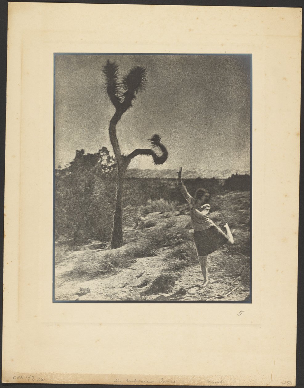 The Corkscrew Twist by Louis Fleckenstein
