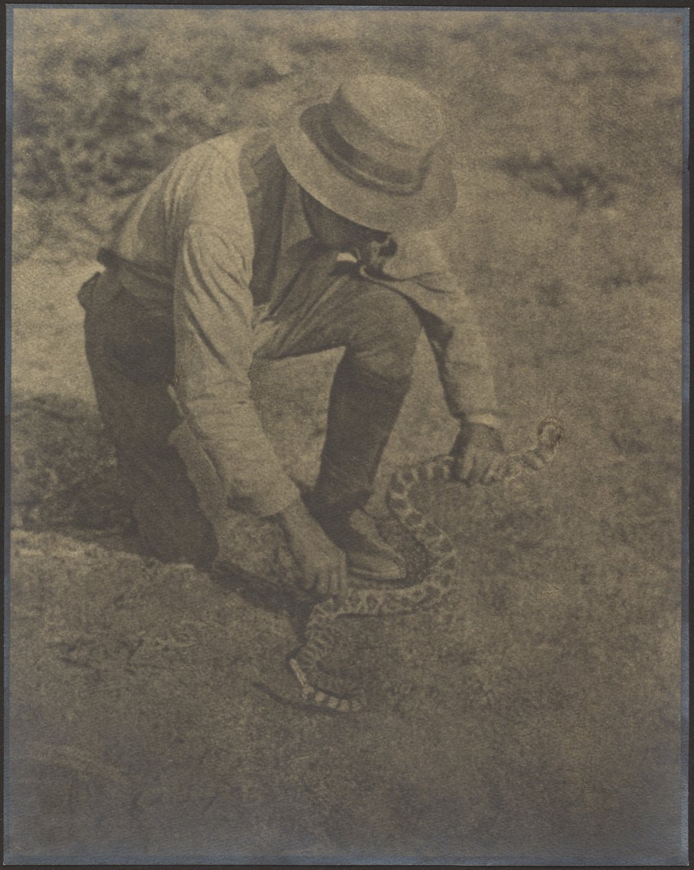 The Struggle by Louis Fleckenstein